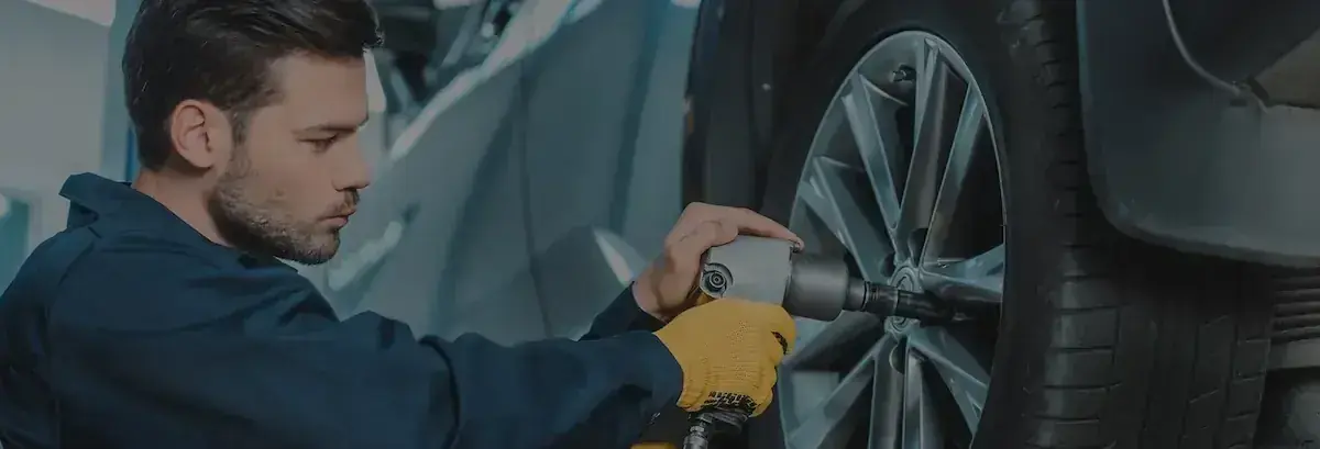 DanAuto automotive distribution